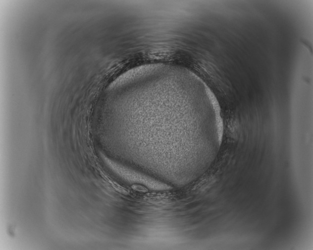 X0000102800817200809021134