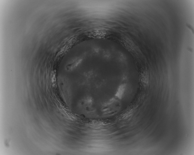 X0000102800818200809021134