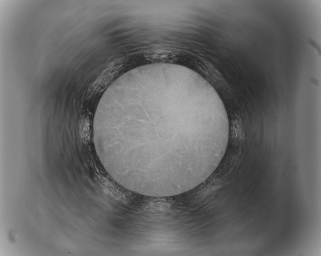 X0000102800820200809021134