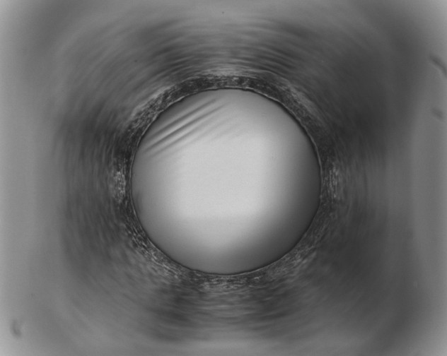 X0000102800821200809021134