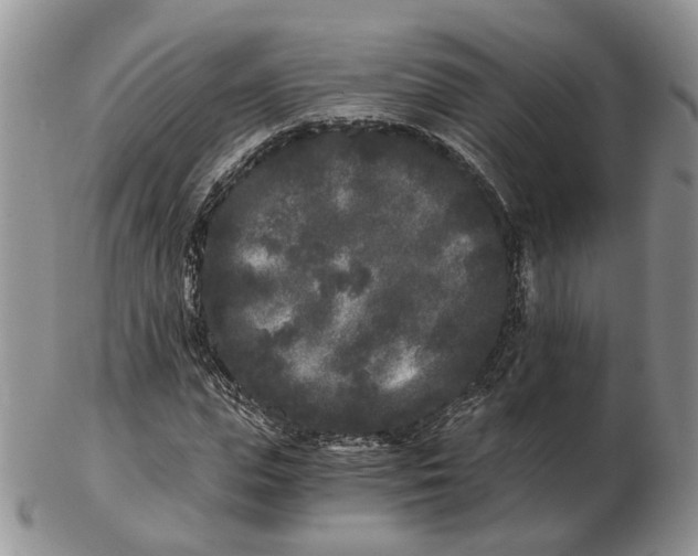 X0000102800823200809021134