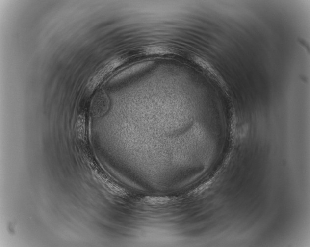 X0000102800825200809021134