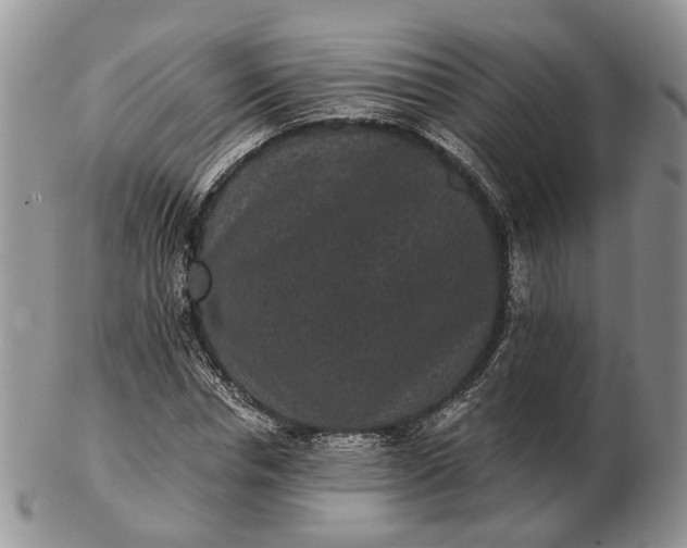 X0000102800826200809021134