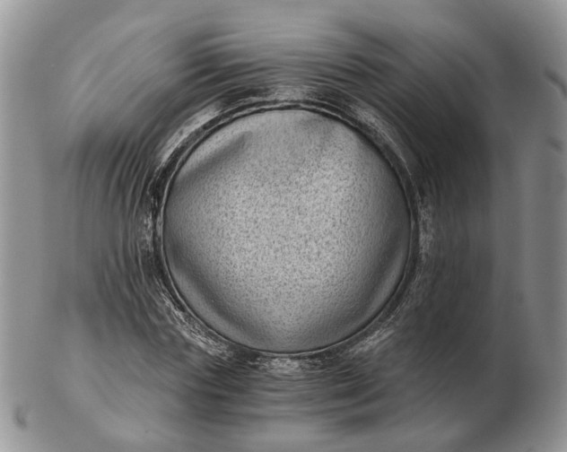 X0000102800827200809021135