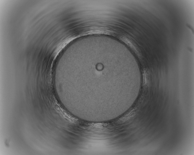 X0000102800828200809021135