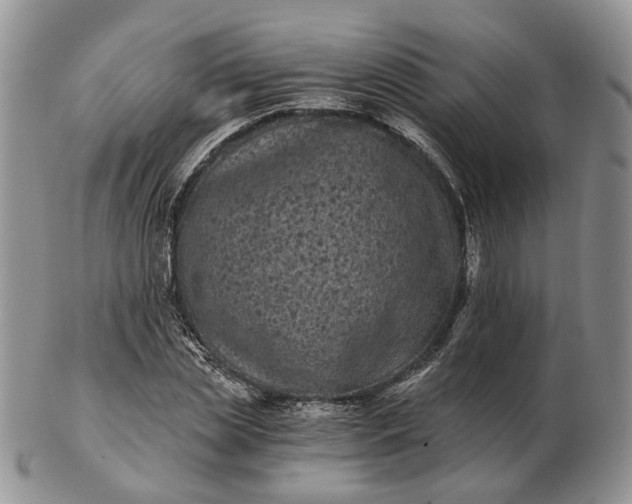 X0000102800829200809021135