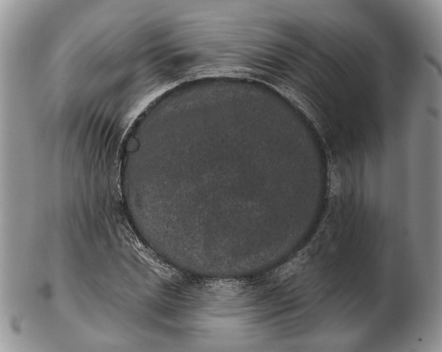 X0000102800830200809021135