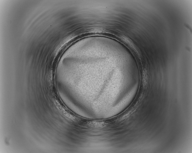 X0000102800831200809021135