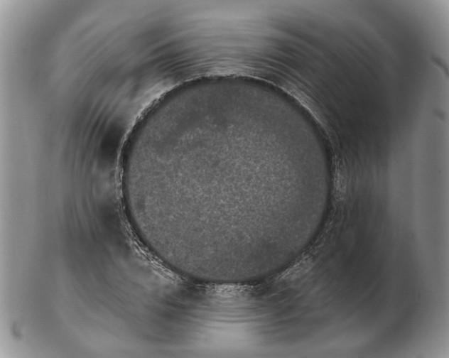 X0000102800832200809021135