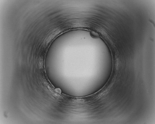 X0000102800833200809021135