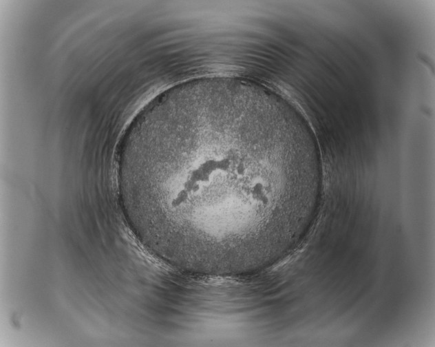 X0000102800835200809021135