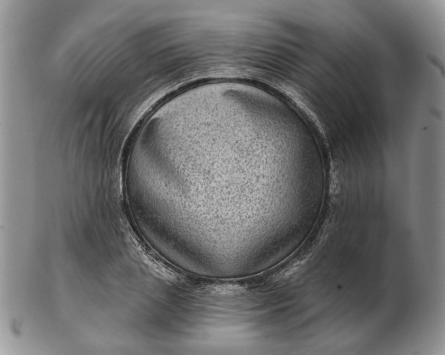 X0000102800837200809021135