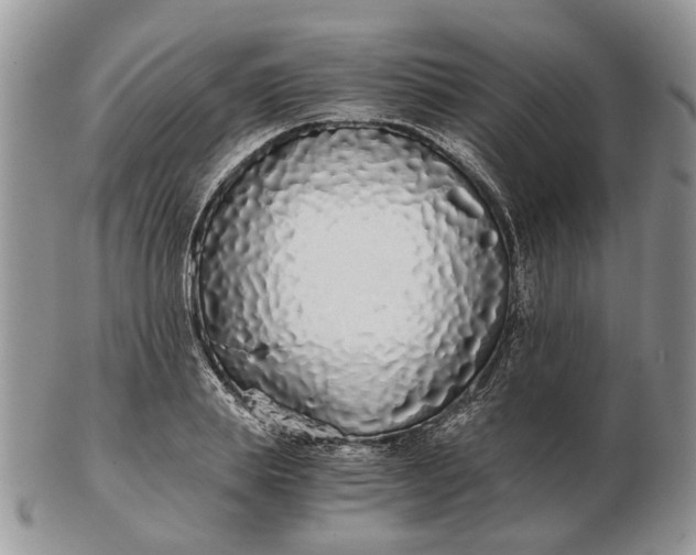 X0000102800839200809021135