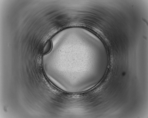 X0000102800841200809021135