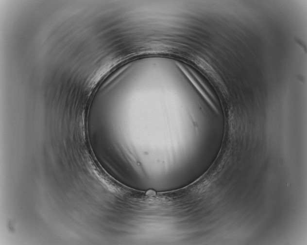 X0000102800842200809021135