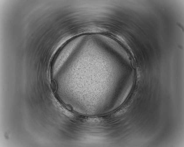 X0000102800843200809021135