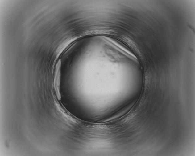 X0000102800844200809021135