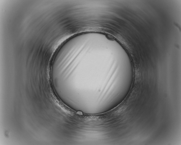 X0000102800846200809021135