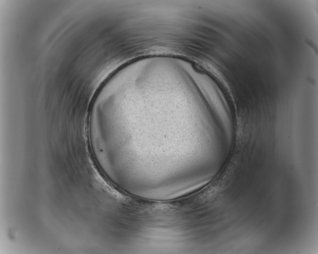 X0000102800847200809021135