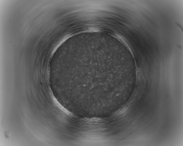 X0000102800851200809021135