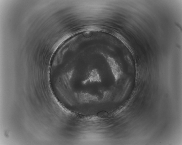 X0000102800853200809021135