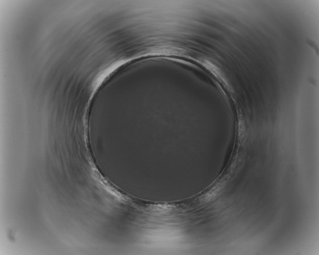 X0000102800854200809021135