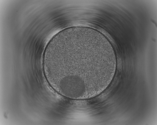 X0000102800856200809021135