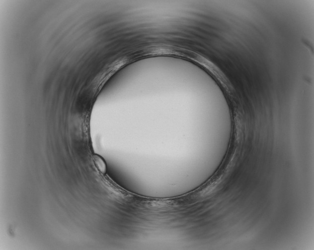 X0000102800857200809021135