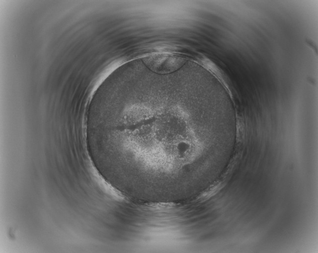 X0000102800859200809021135