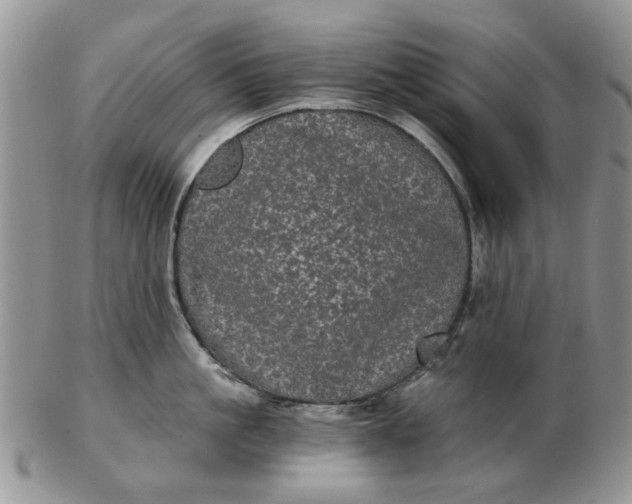 X0000102800861200809021135