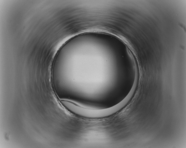 X0000102800862200809021135