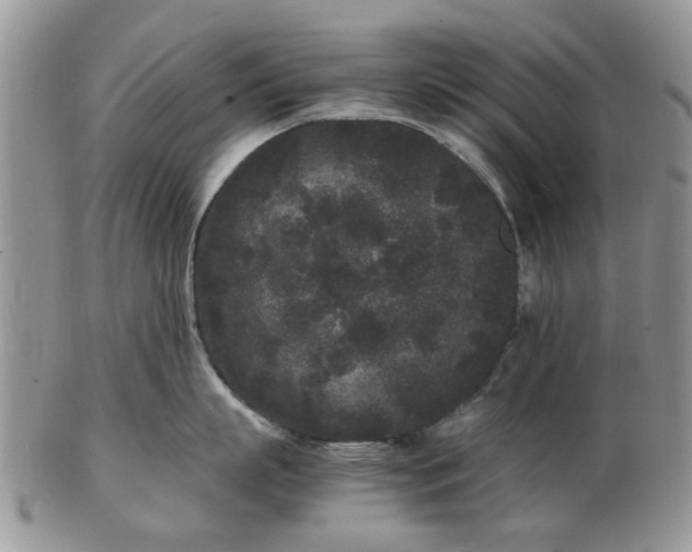 X0000102800863200809021135