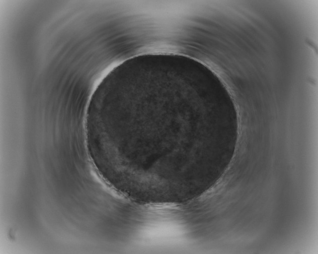 X0000102800864200809021135