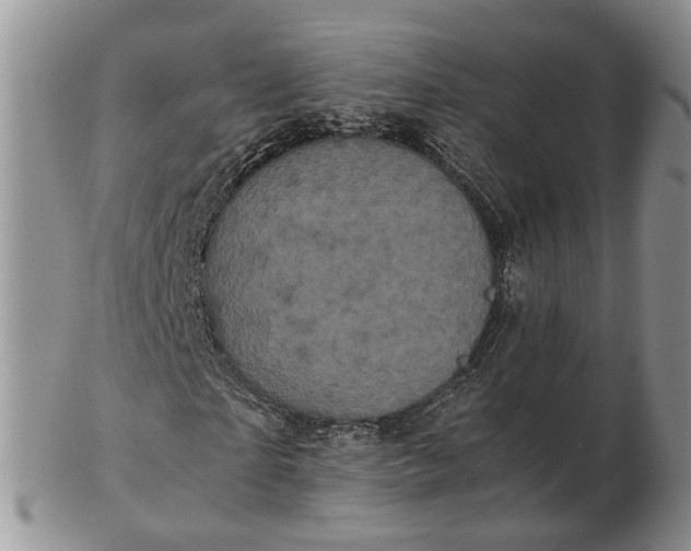 X0000102800865200809021134