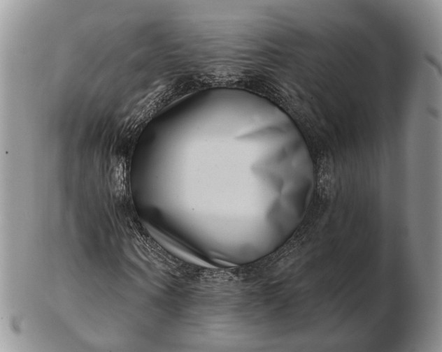 X0000102800866200809021134