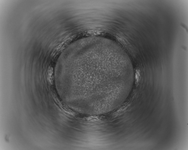 X0000102800867200809021134