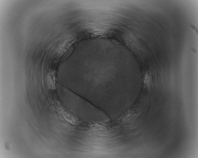 X0000102800868200809021134