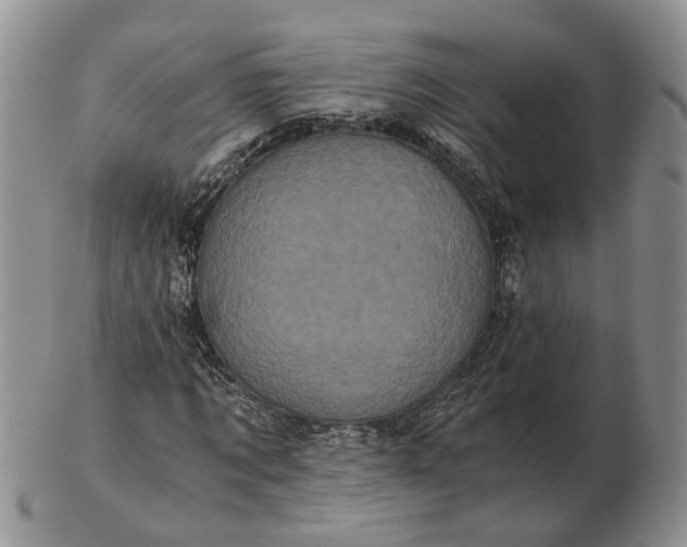 X0000102800869200809021134