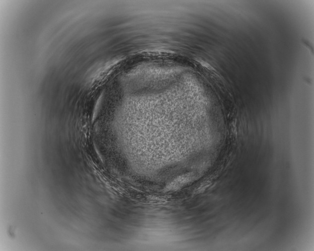 X0000102800870200809021134