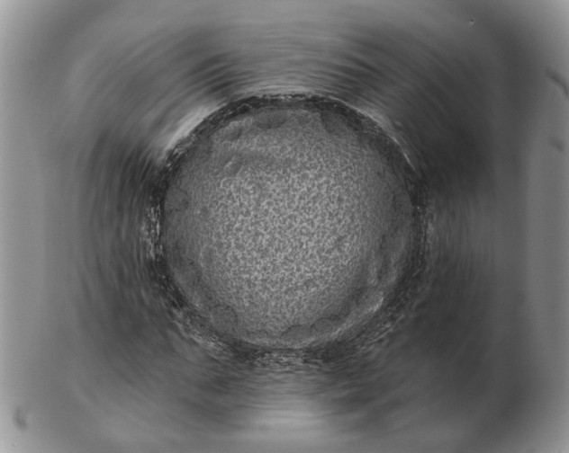 X0000102800871200809021134