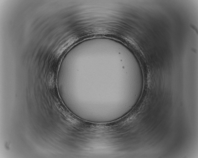 X0000102800873200809021134