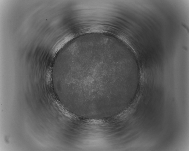 X0000102800874200809021134