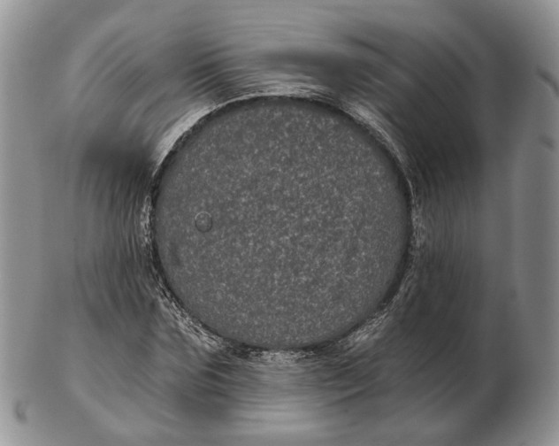 X0000102800875200809021134