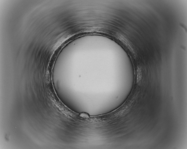 X0000102800876200809021134