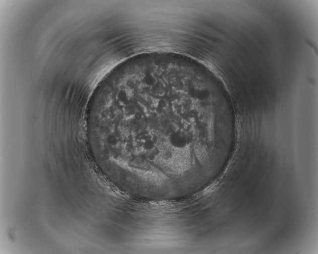 X0000102800879200809021134