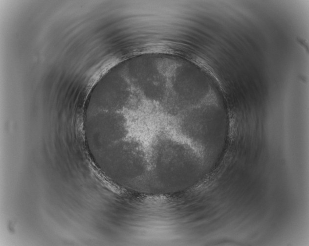 X0000102800882200809021134