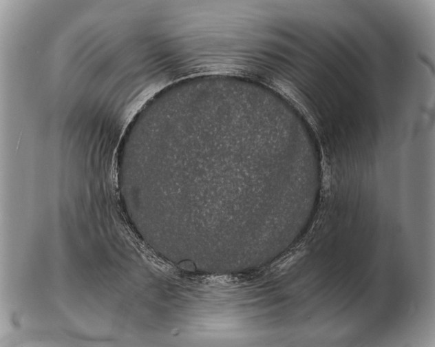 X0000102800883200809021134