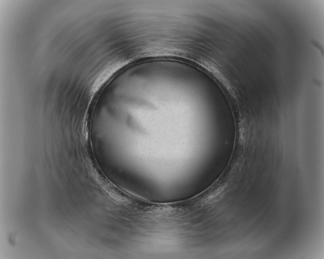 X0000102800885200809021134