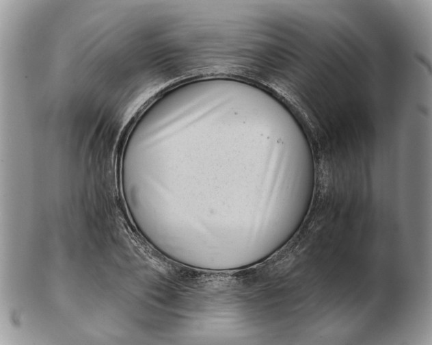 X0000102800886200809021134