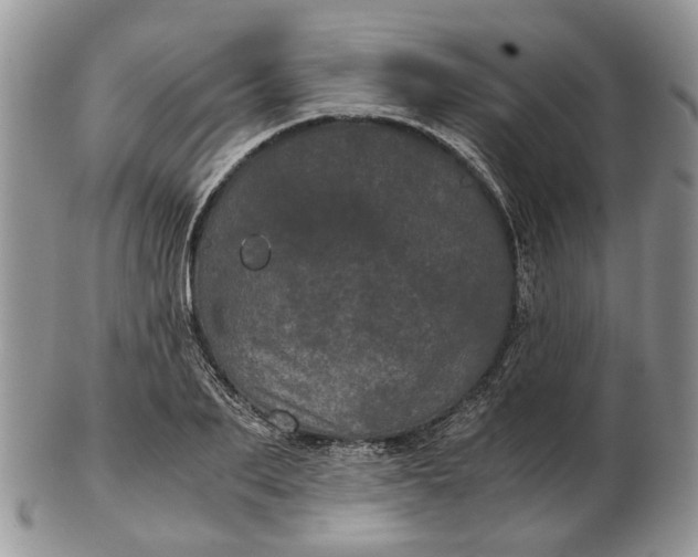 X0000102800887200809021134